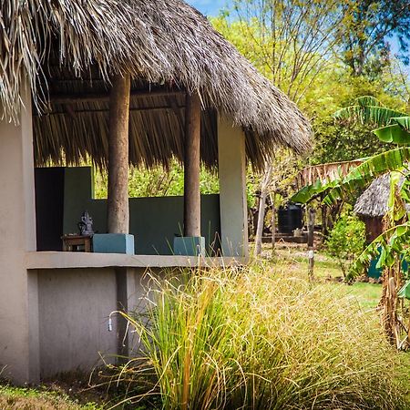 Coco Loco Eco-Resort Gemastepe ภายนอก รูปภาพ